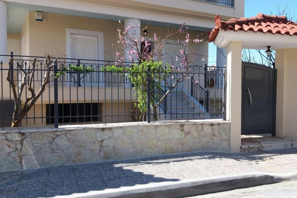 New, Bright, Cozy, Autonomous Apartment With Private Entrance And Garden, 42 M2, 5Min To The Beach And City Center Kalamata Eksteriør billede